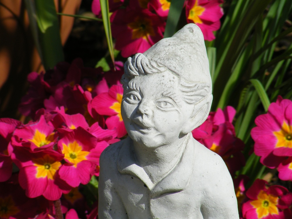 A Little Cheekie Chappie