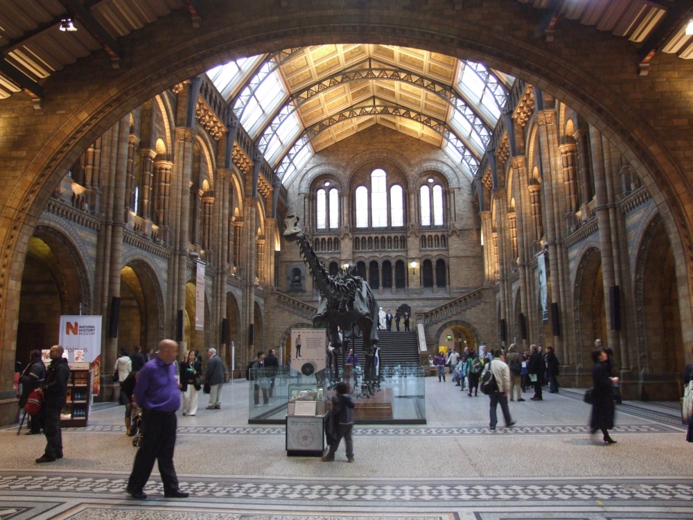 The Natural History Museum