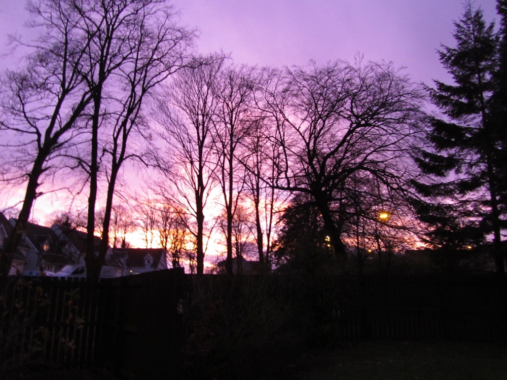 Photograph of Purple Sky