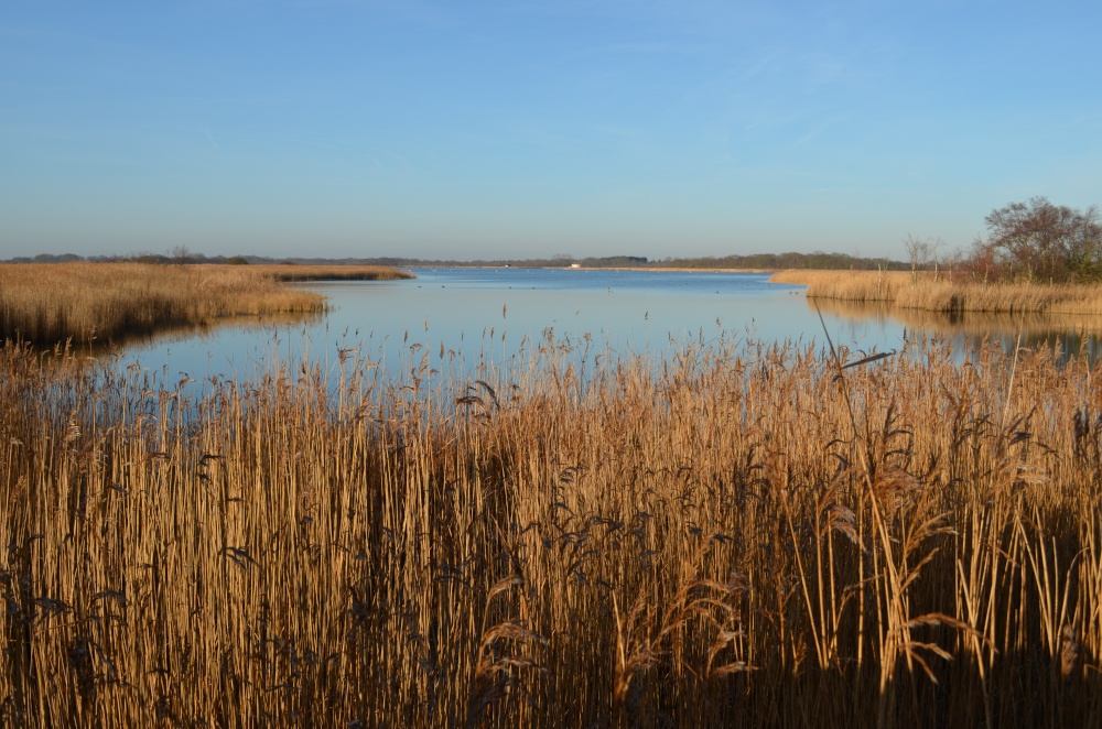 Hickling Broad