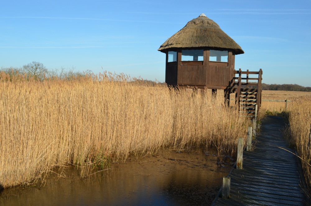 Observation hut at Hickling Broad