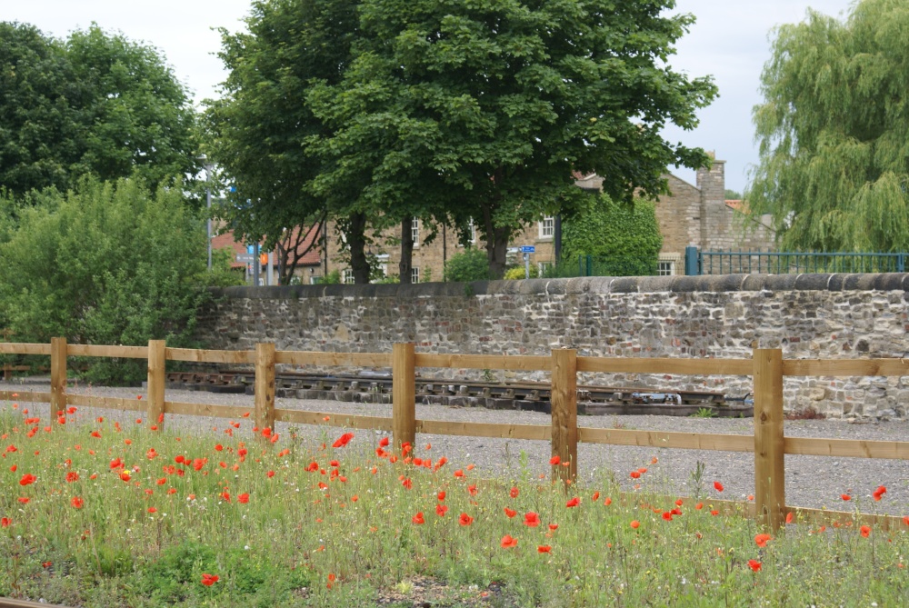 Locomotion Poppy Day
