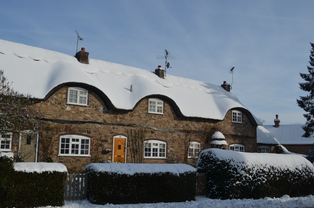 Photograph of Newton Linford