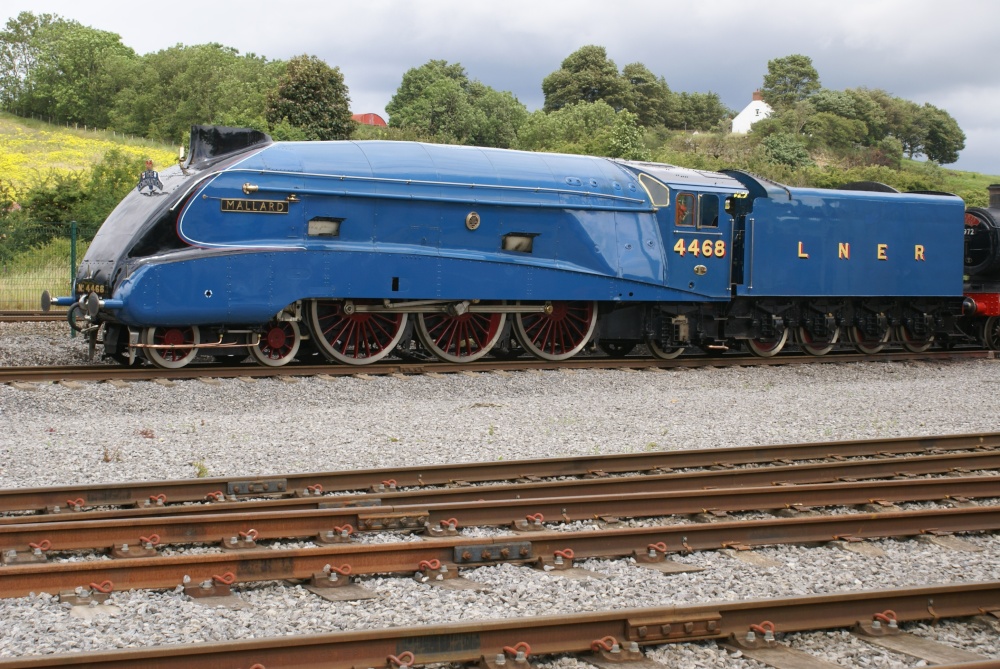 Mallard at Locomotion