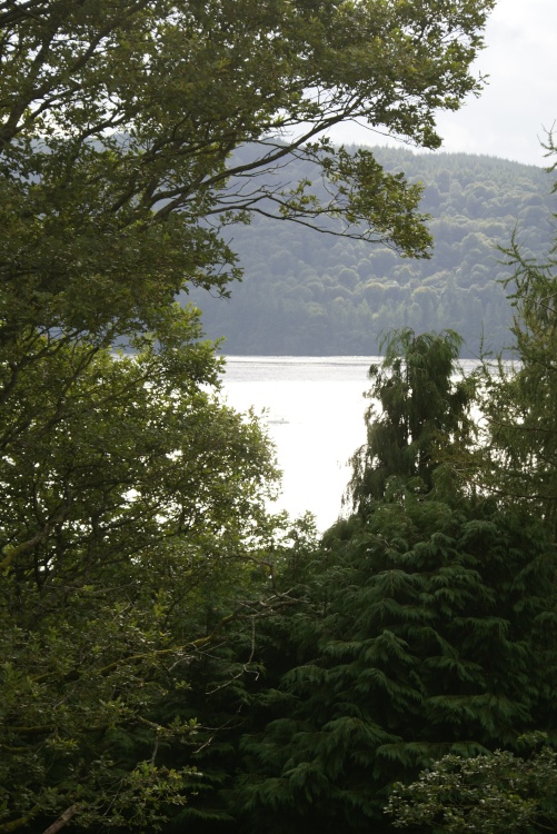 Lake Windermere through the trees