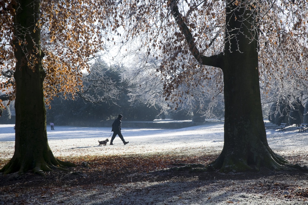 Photograph of Reynolds Park