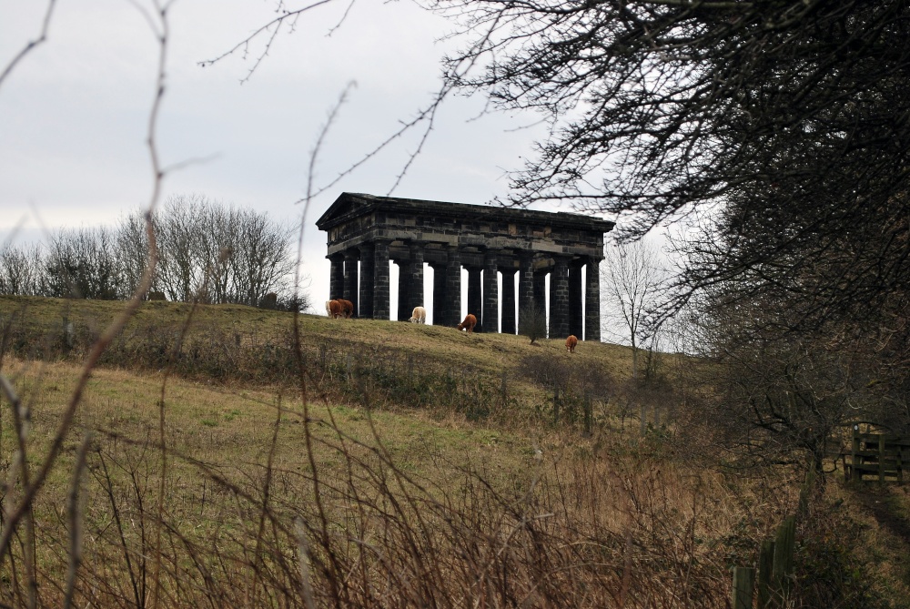 A view from Penshaw Woods