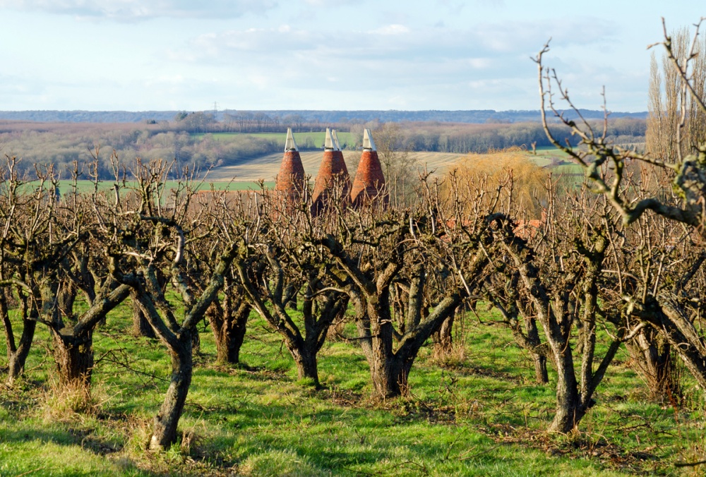 Gallants Oast, East Farleigh