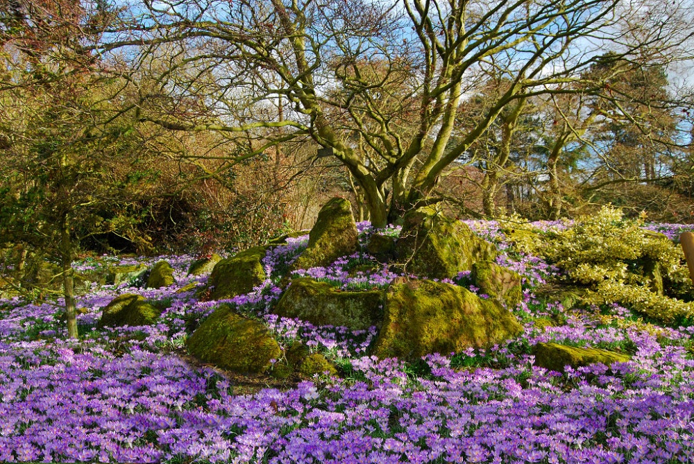 Leicester University Botanic Gardens