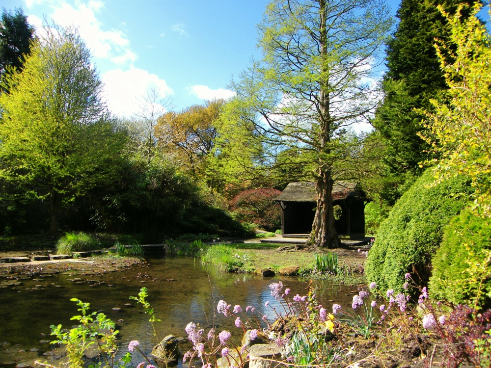 Photograph of Springtime in the Japanese Garden