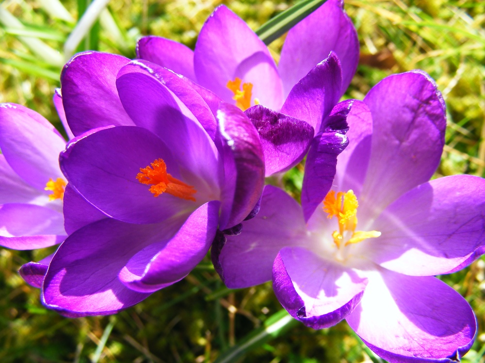 Last look before Winter returns