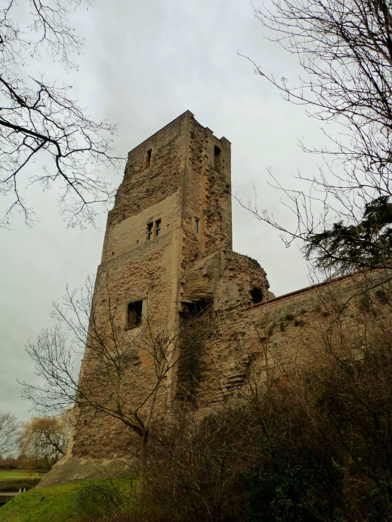 Castle Tower