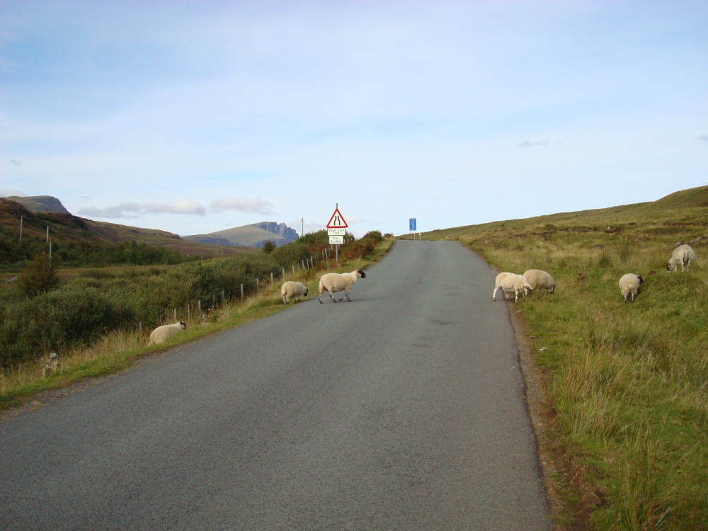 The A855 road scene