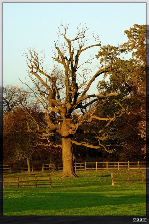 Delapre Park Golf Club