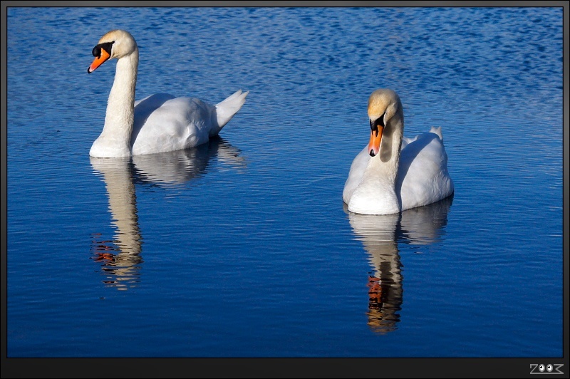 Sixfields - Flood Storage Reservoir