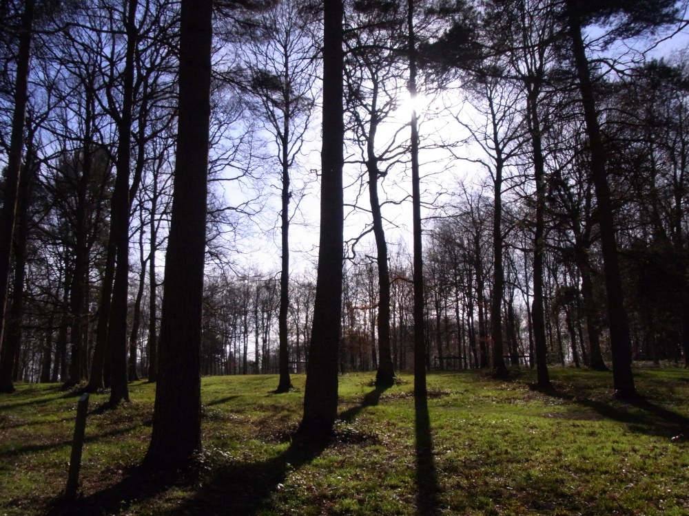 Photograph of Queenswood Country Park (NT)