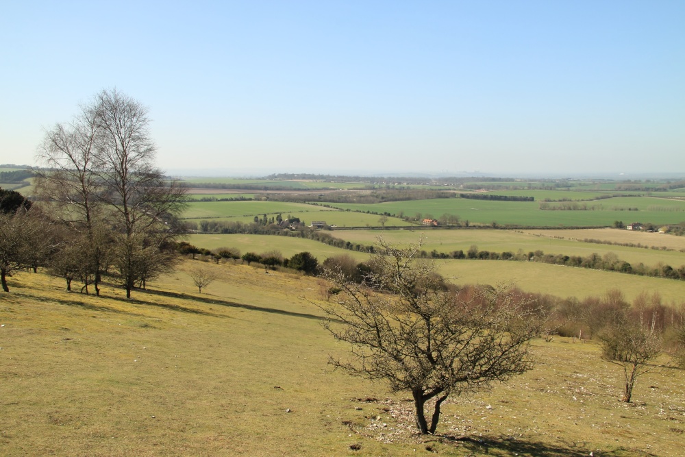 View looking west from Watlington Hill, Watlington photo by Edward Lever