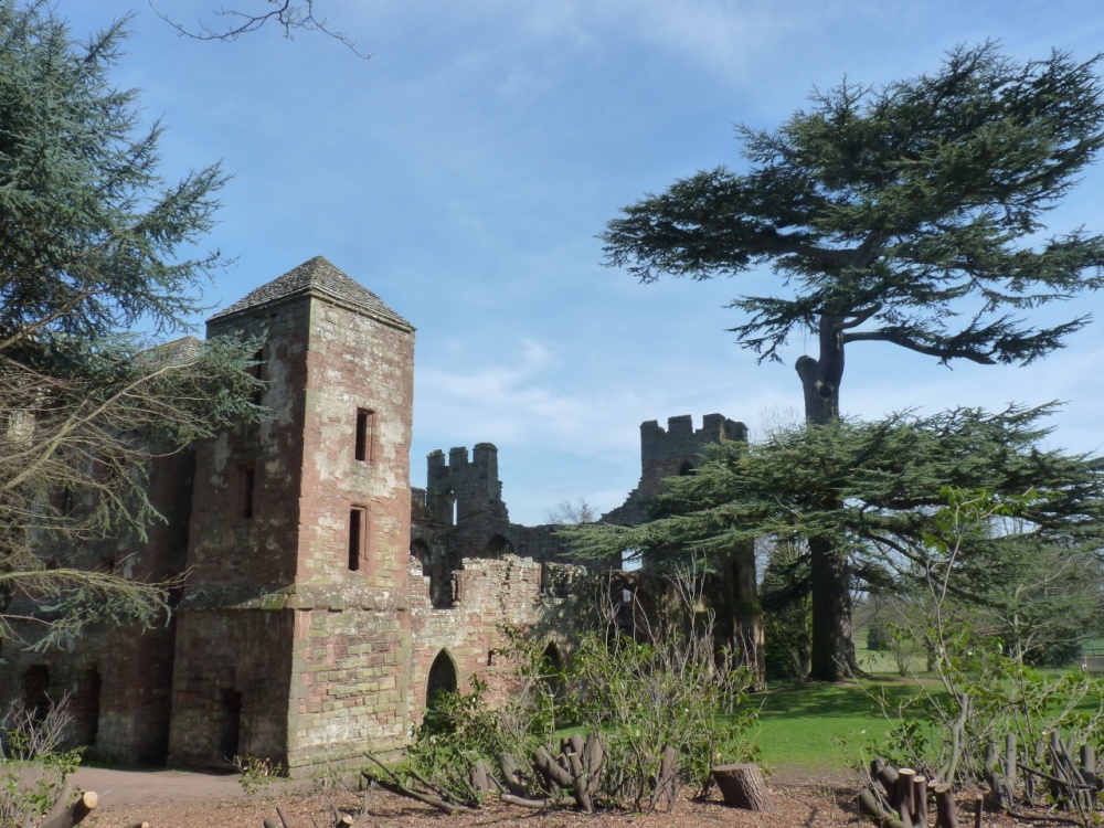 Photograph of Acton Burnell - the Castle