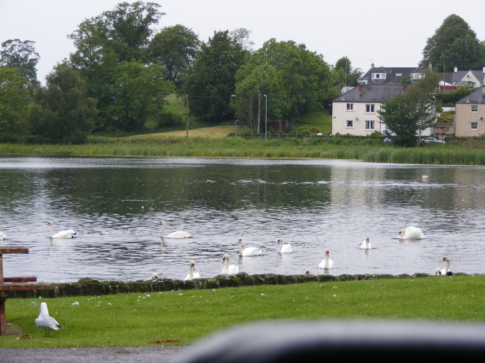 Photograph of Castle Douglas