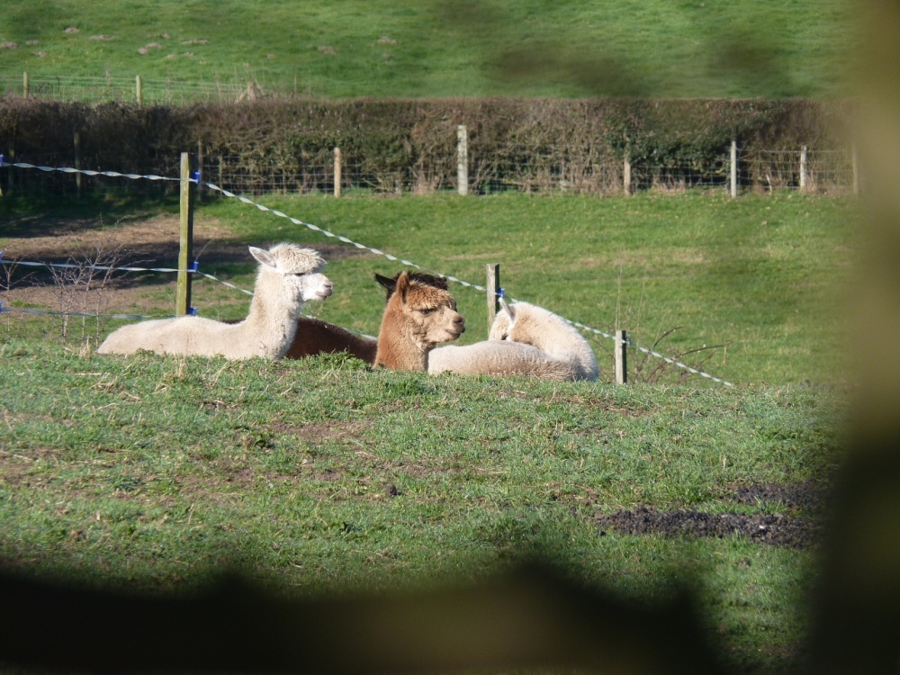 Taking it easy Harmer Hill style!
