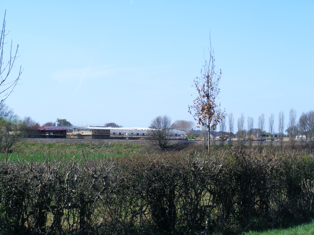 The Services are coming