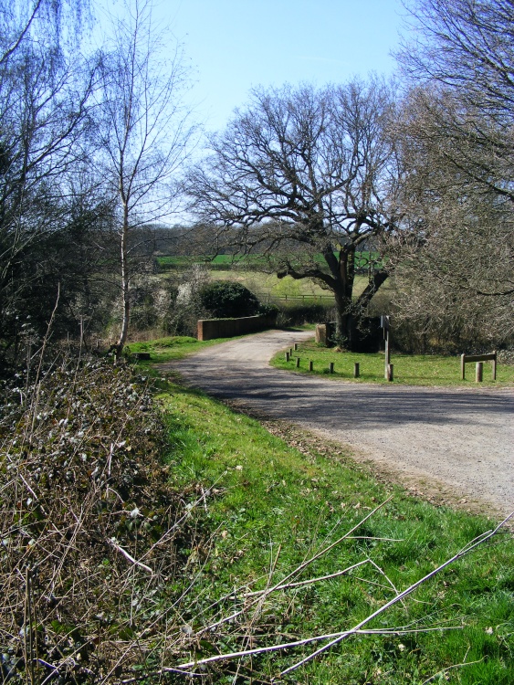 Hundred Pound Bridge - Bookham Common