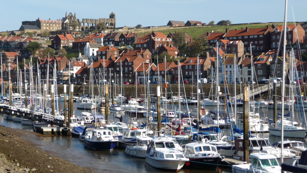 Whitby Marina
