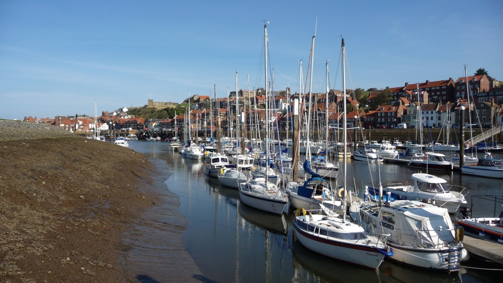Whitby Marina & Harbour