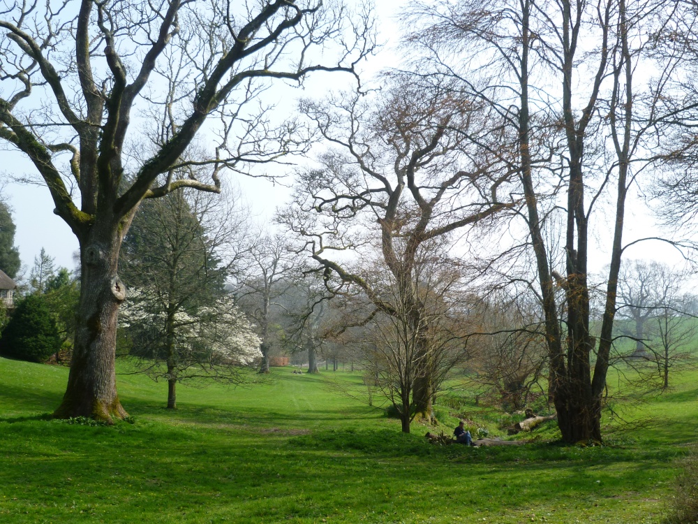 Photograph of Dartington Hall Gardens, Totnes, Devon.