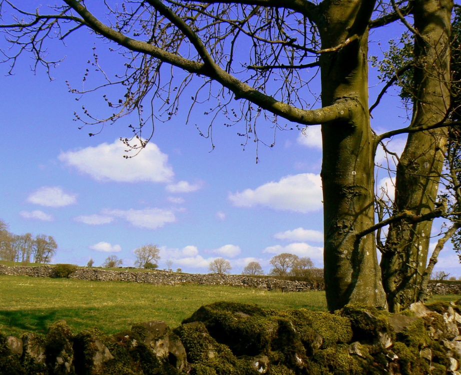 Photograph of Tissington