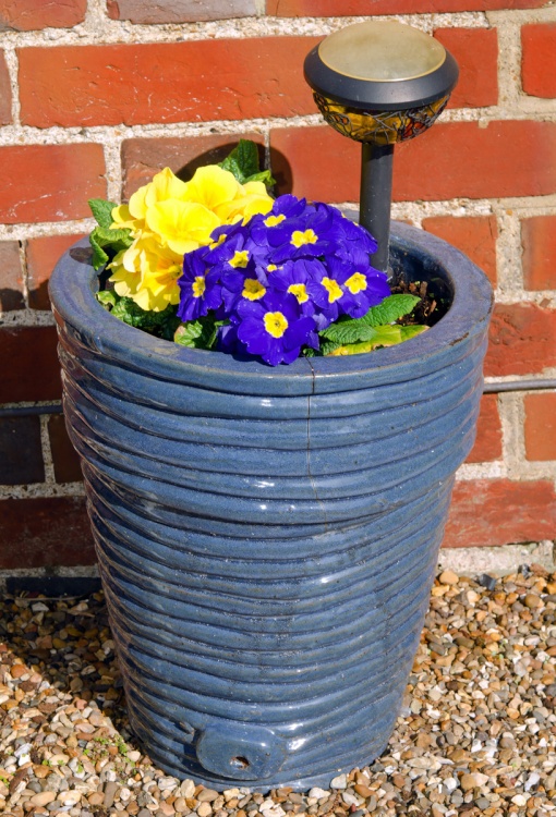 Planter outside the cottage - East Farleigh