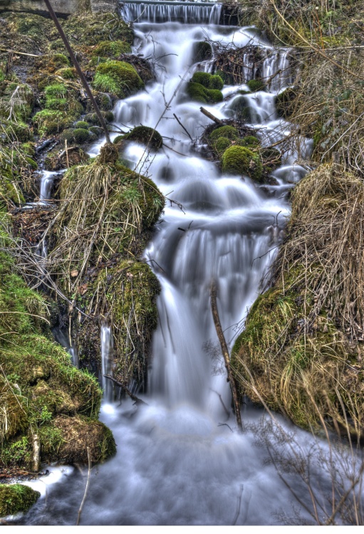 Stream running from the Blue Lake at Colesbourne Park