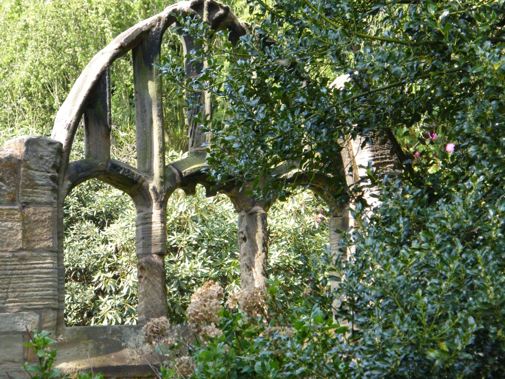 Cannon Hall park photo by Andrew Cotter