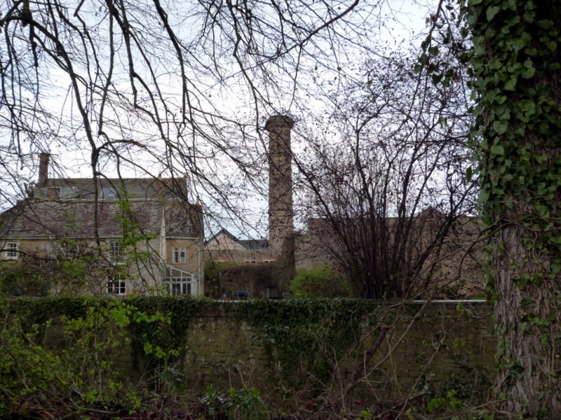 "Martock" by Pat Trout at