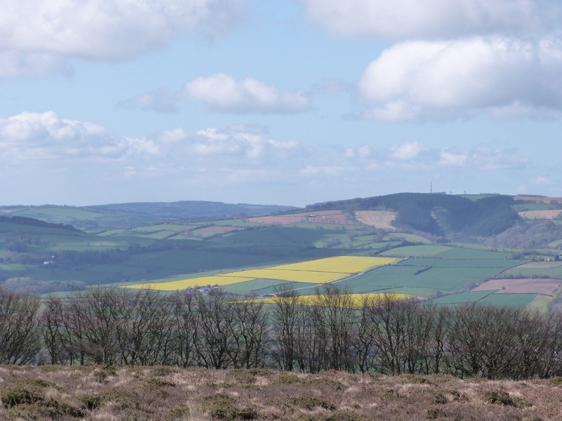 Quantock Hills