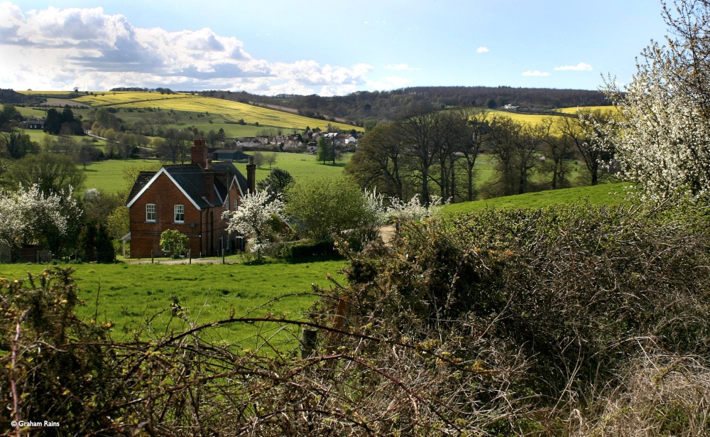Stour Valley Spring, Stourpaine
