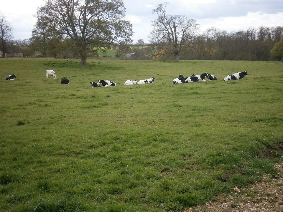 Photograph of Hinwick