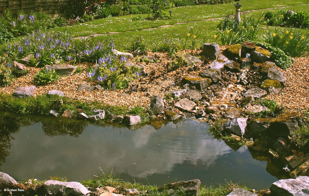 Stour Valley Spring, Shillingstone.