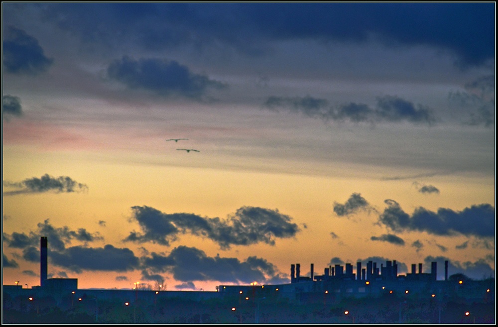 Toyota Skyline, Burnaston.