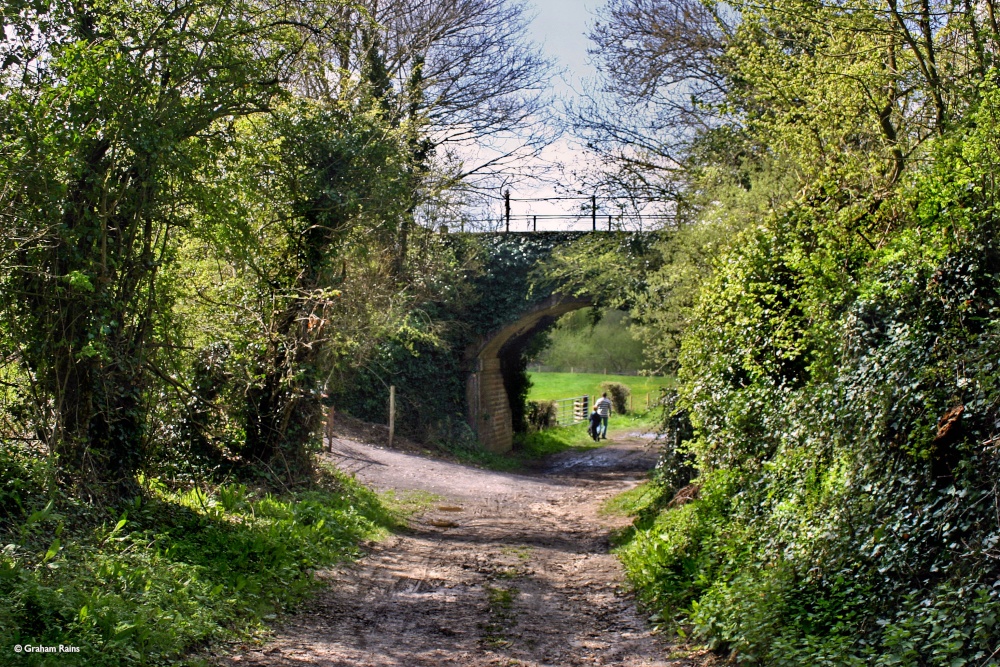 Stour Valley Spring, Stourpaine.