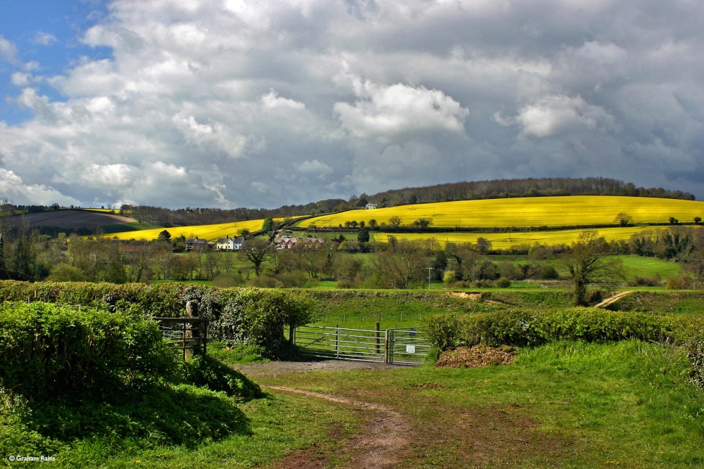 Stour Valley Spring, Stourpaine.