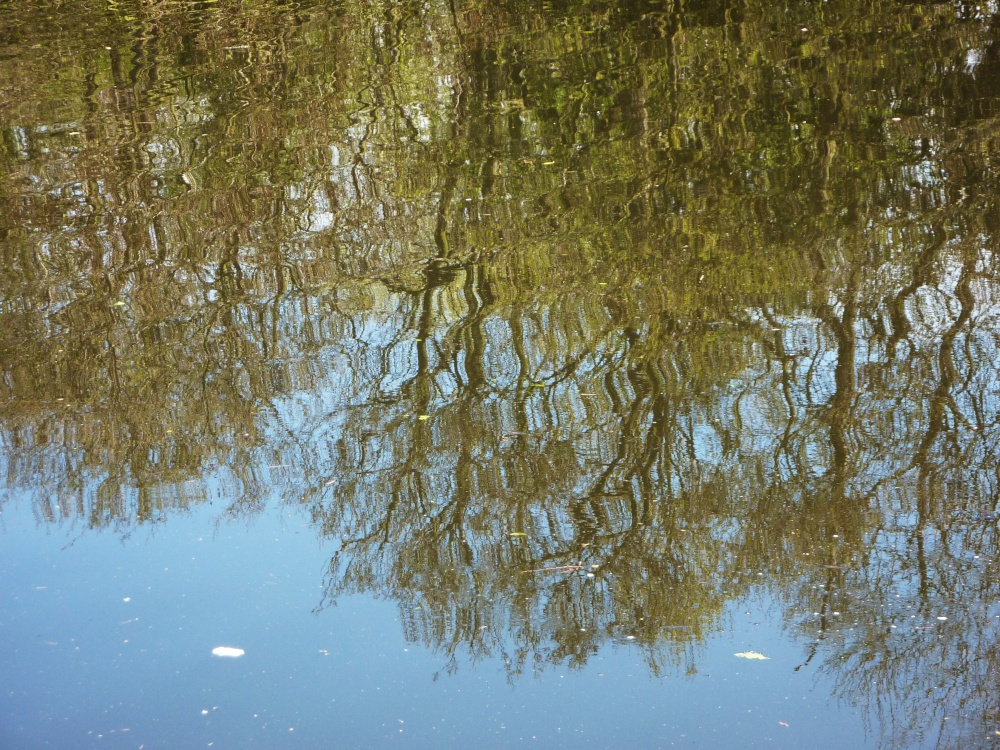 Photograph of Reflections on Lound Pond