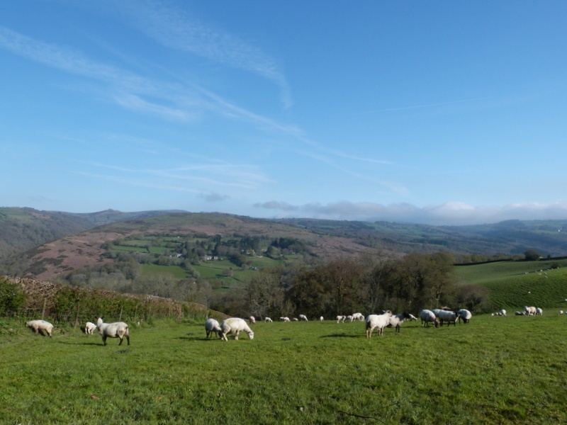 Dartmoor