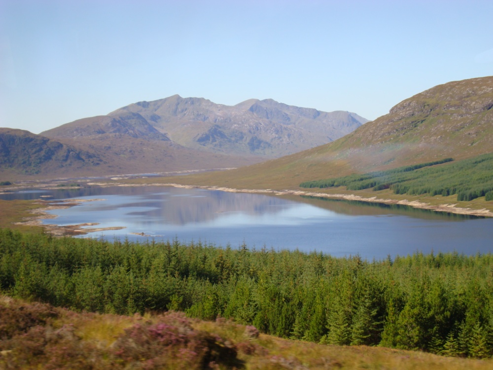 Photograph of West Highland, Loch Loyne
