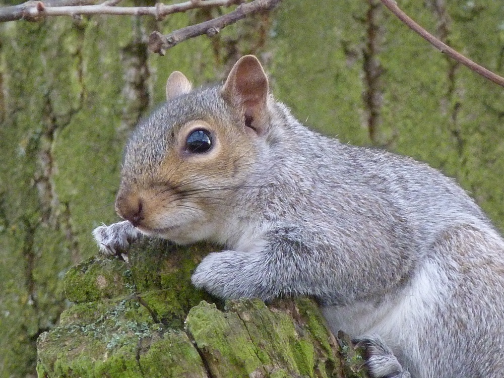 You just keep me hanging on