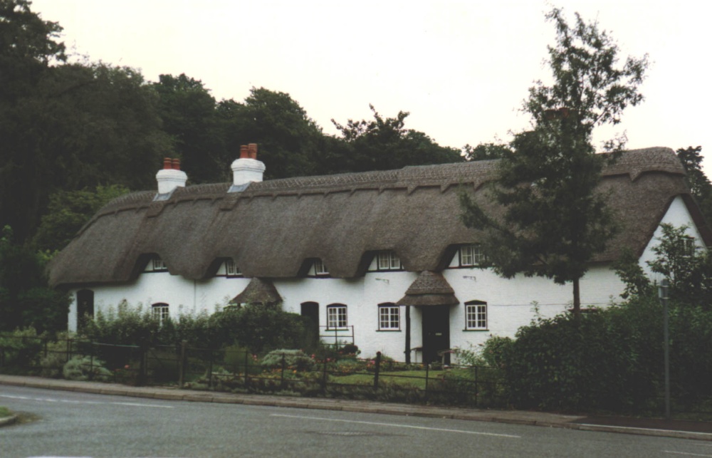 Dorset cottage