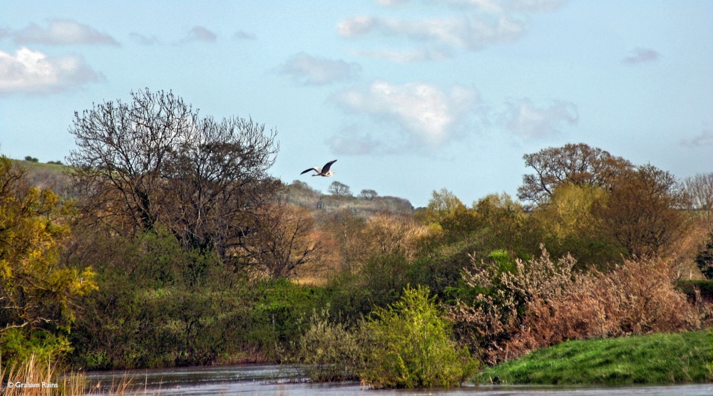 Stour Valley Spring, Shillingstone.