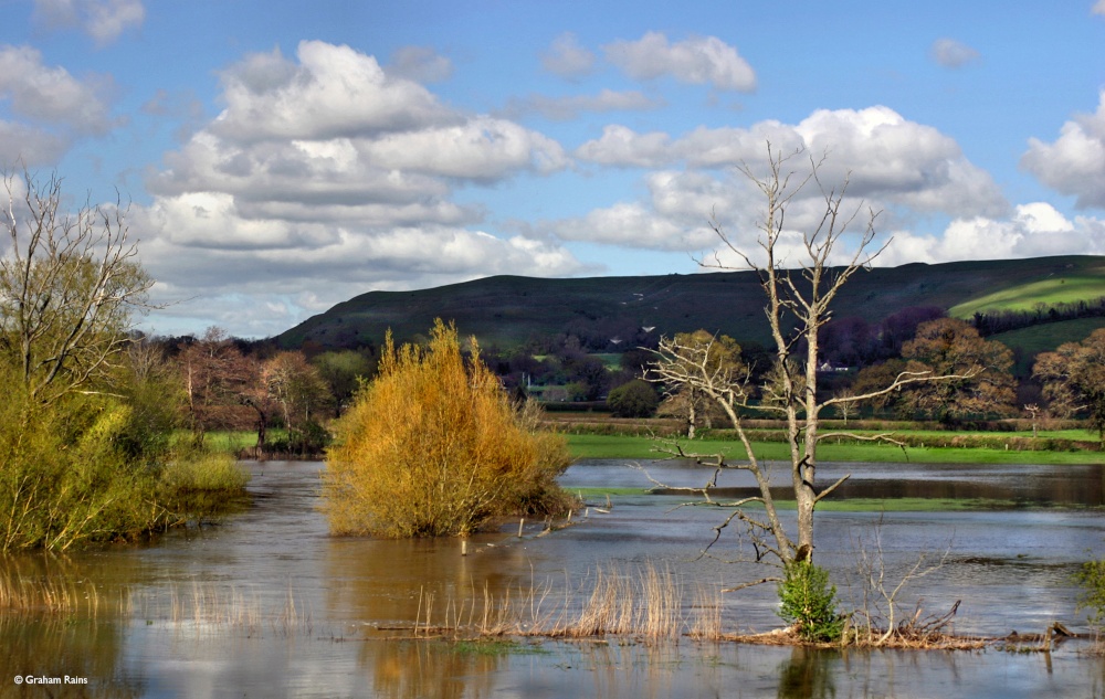 Stour Valley Spring, Shillingstone.