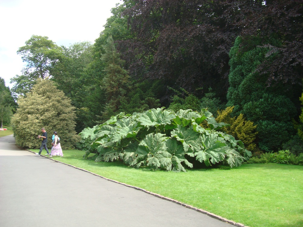 Valley Gardens