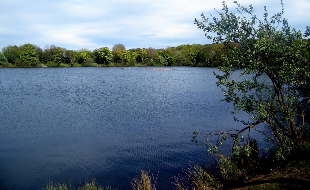 Middleton lake